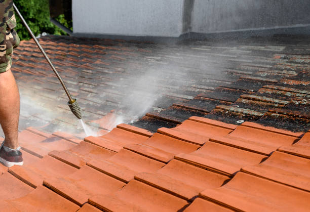 Best Sidewalk Pressure Washing  in Manistee, MI