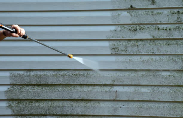 Best Roof Power Washing Services  in Manistee, MI