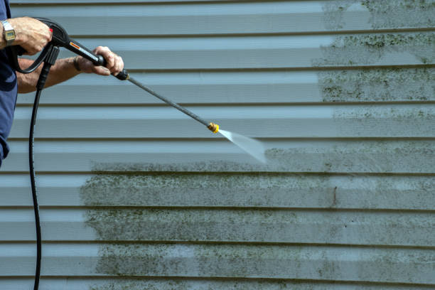 Best Garage Pressure Washing  in Manistee, MI