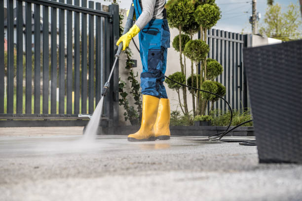 Best Sidewalk Pressure Washing  in Manistee, MI