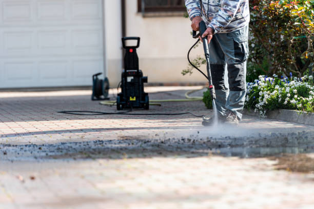 Best Power Washing Near Me  in Manistee, MI