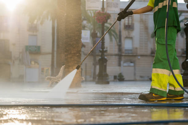 Best Roof Pressure Washing  in Manistee, MI