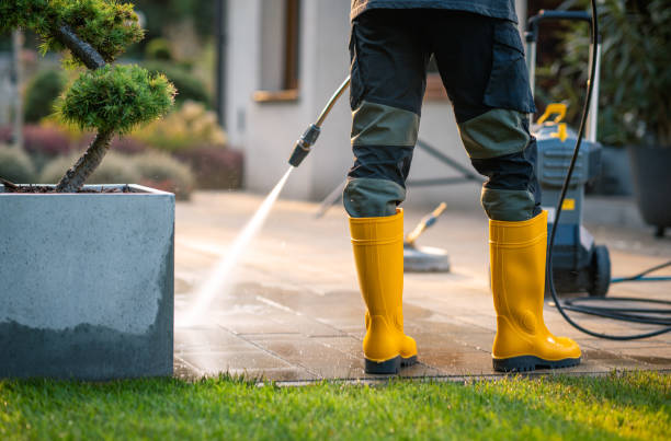 Best Deck Pressure Washing  in Manistee, MI